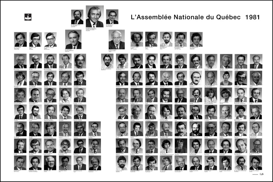 Mosaïque des parlementaires de 1981. 