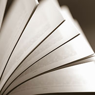 Littératures québécoise et jeunesse